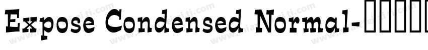 Expose Condensed Normal字体转换